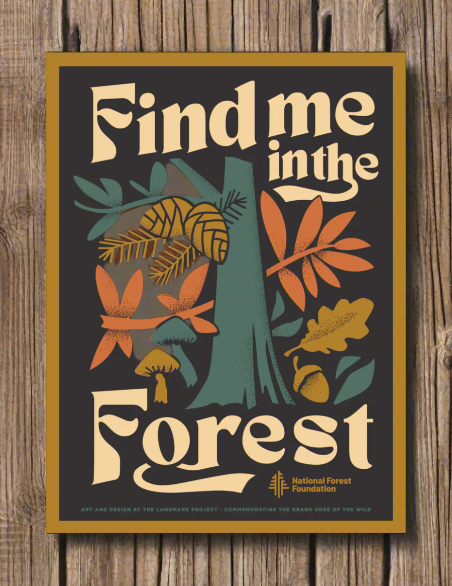 Find me in the Forest poster on a wooden background. The colors are earthy and warm. the text surrounds an image of a tree with leaves and cones, mushrooms and nuts. There is an official National Forest Foundation emblem at the bottom.