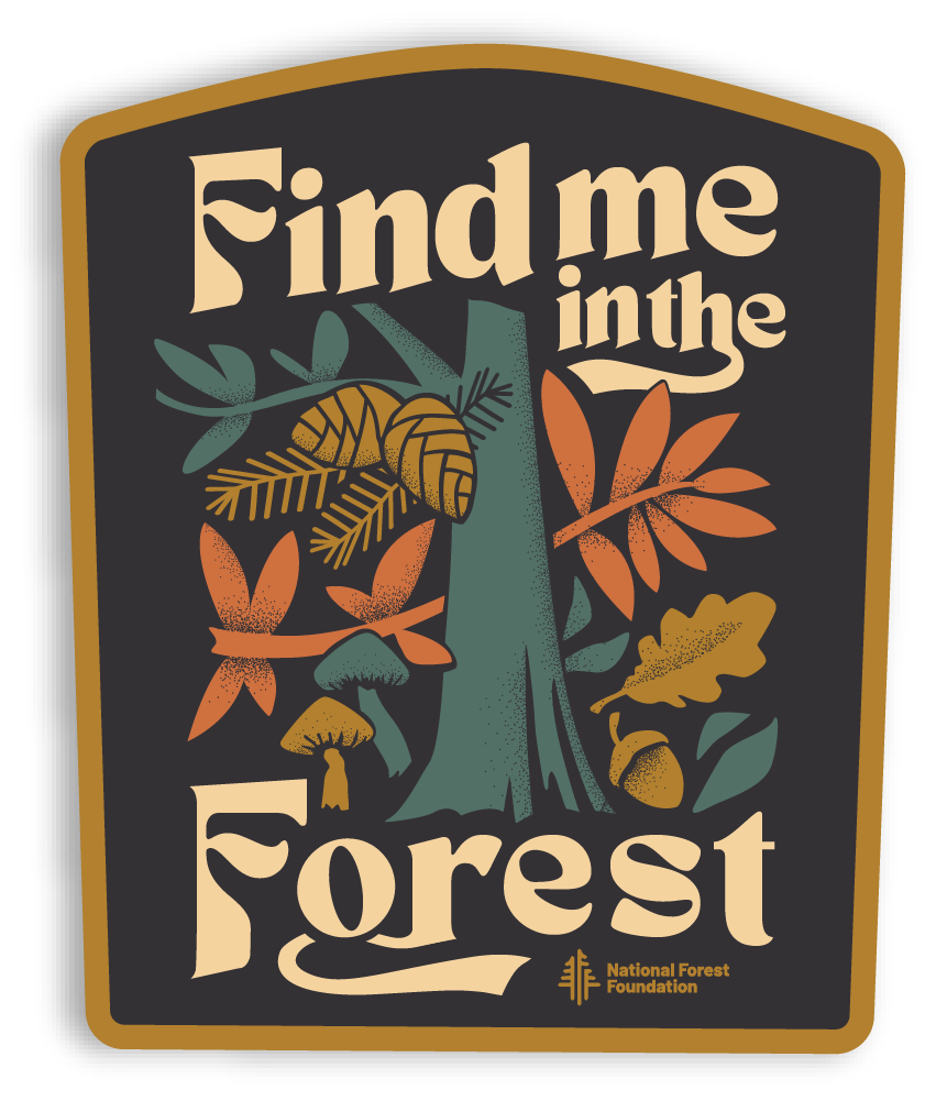 Find me in the Forest vinyl sticker made by The Landmark Project. The sticker image shows the text "Find me in the Forest" and an image of a tree with leaves and cones, mushrooms and nuts. The colors are earth toned with blue-green, dark brown, gold and burnt orange.