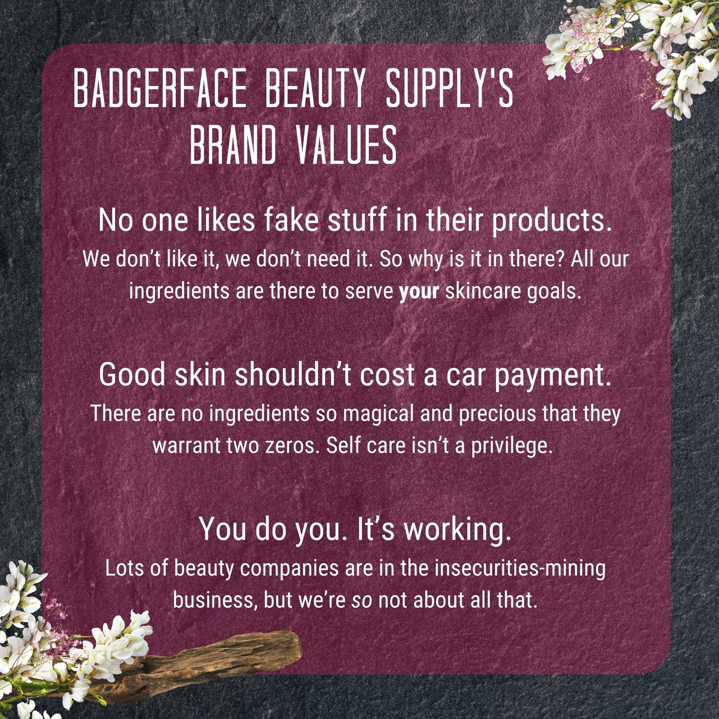 Badgerface Beauty Supply's Brand Values.
"No one likes fake stuff in their products. We don't like it, we don't need it. So why is it in there? All our ingredients are there to serve your skincare goals."
"Good skin shouldn't cost a car payment. There are no ingredients so magical and precious that they warrant two zeros. Self Care isn't a privilege."
"You do you. It's working. Lots of beauty companies are in the insecurities-mining business, but we're so not about that."
