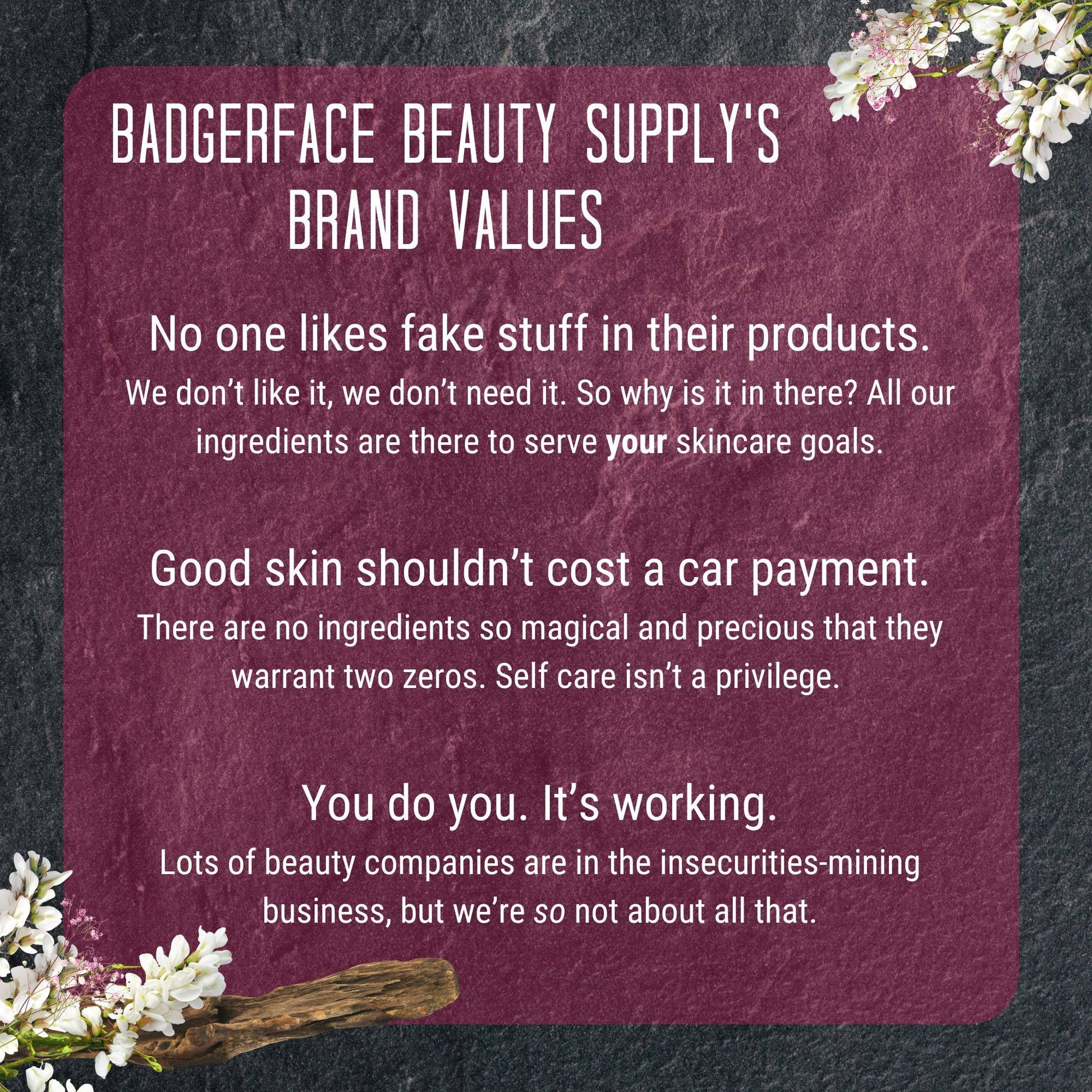 Badgerface Beauty Supply's Brand Values. 
"No one likes fake stuff in their products. We don't like it, we don't need it. So why is it in there? All our ingredients are there to serve your skincare goals."
"Good skin shouldn't cost a car payment. There are no ingredients so magical and precious that they warrant two zeros. Self Care isn't a privilege."
"You do you. It's working. Lots of beauty companies are in the insecurities-mining business, but we're so not about that."
